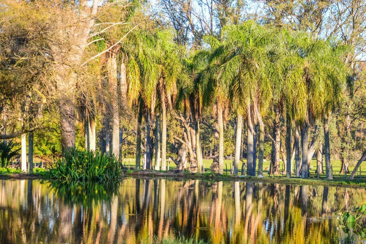 Estancia La Violeta Chajarí Buitenkant foto