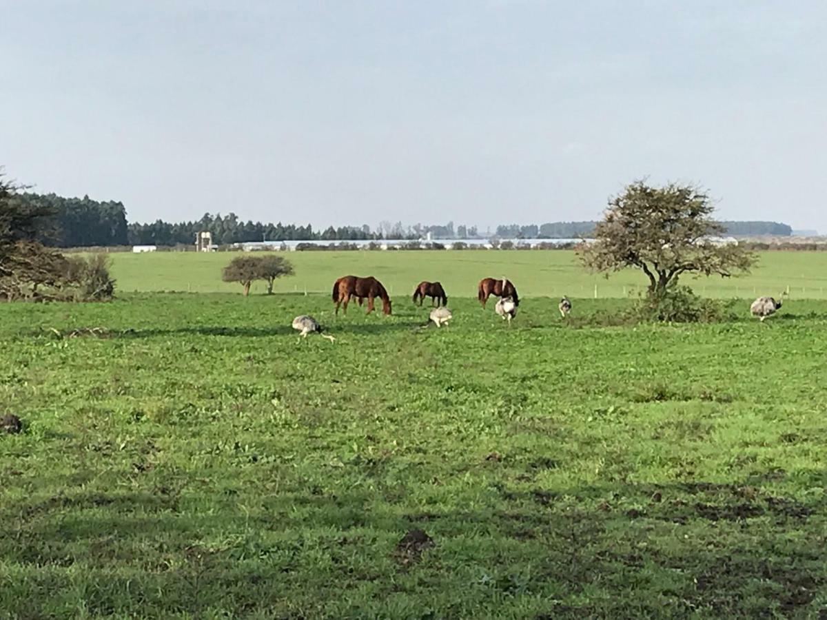 Estancia La Violeta Chajarí Buitenkant foto